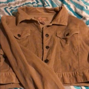 Short XL brown Corduroy Jacket